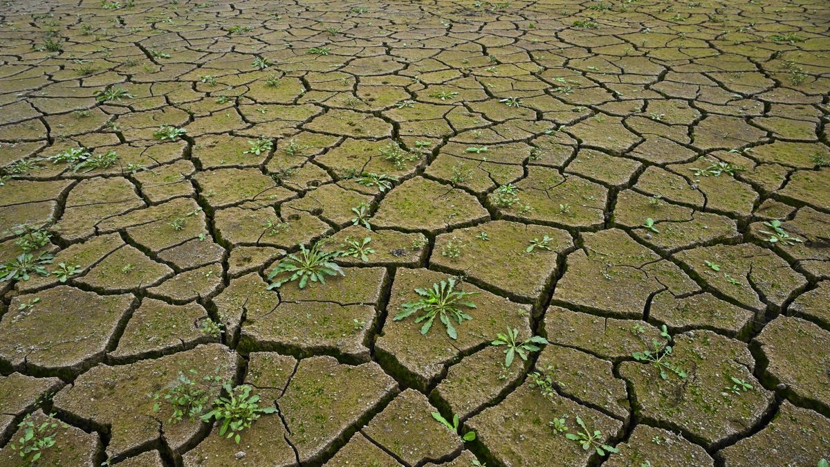 Jednym ze skutków upałów jest wyschnięcie położonego na północy Serbii jeziora Rusanda