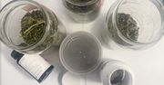 Marihuana w domu 58-latka. Mężczyzna został zatrzymany