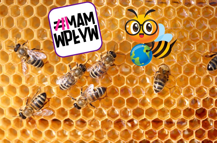 Wielki Dzień Pszczół. Co wiesz o pszczołach? [QUIZ]