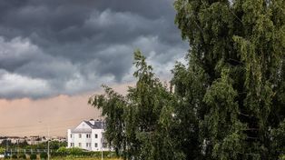 Silny wiatr, deszcz i grad. Burze przejdą nad Lubuskiem