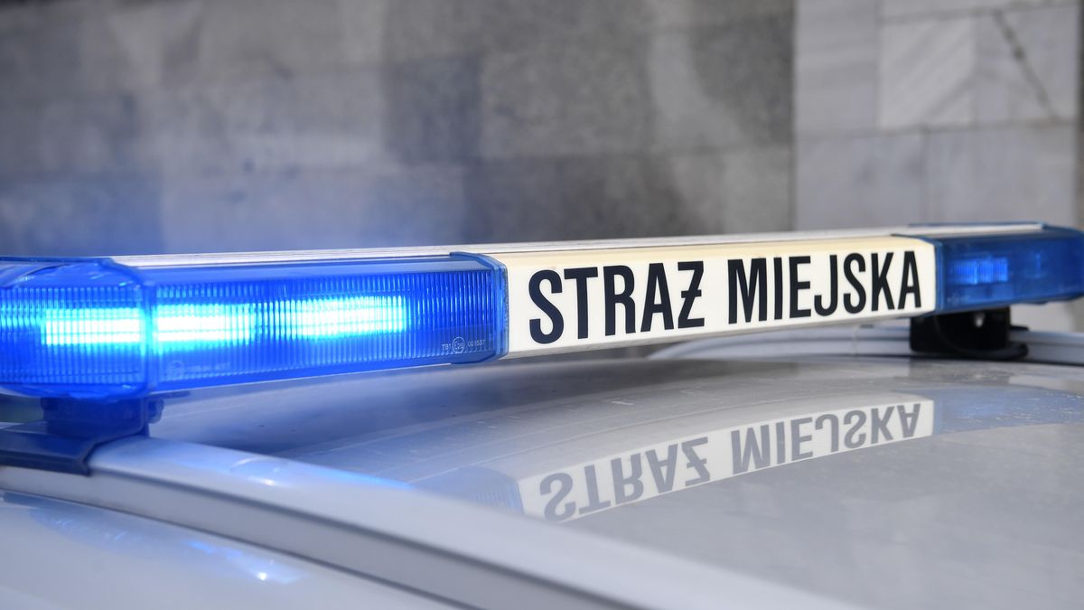 Straż miejska interweniowała w sprawie wyziębionego mężczyzny. Zdj. ilustracyjne 