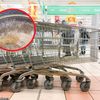 Brudniejsze niż miejskie toalety. "Nie przynosicie tylko zakupów, ale też grzybki"