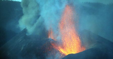 La Palma. Dramat zwierząt uwięzionych przez lawę