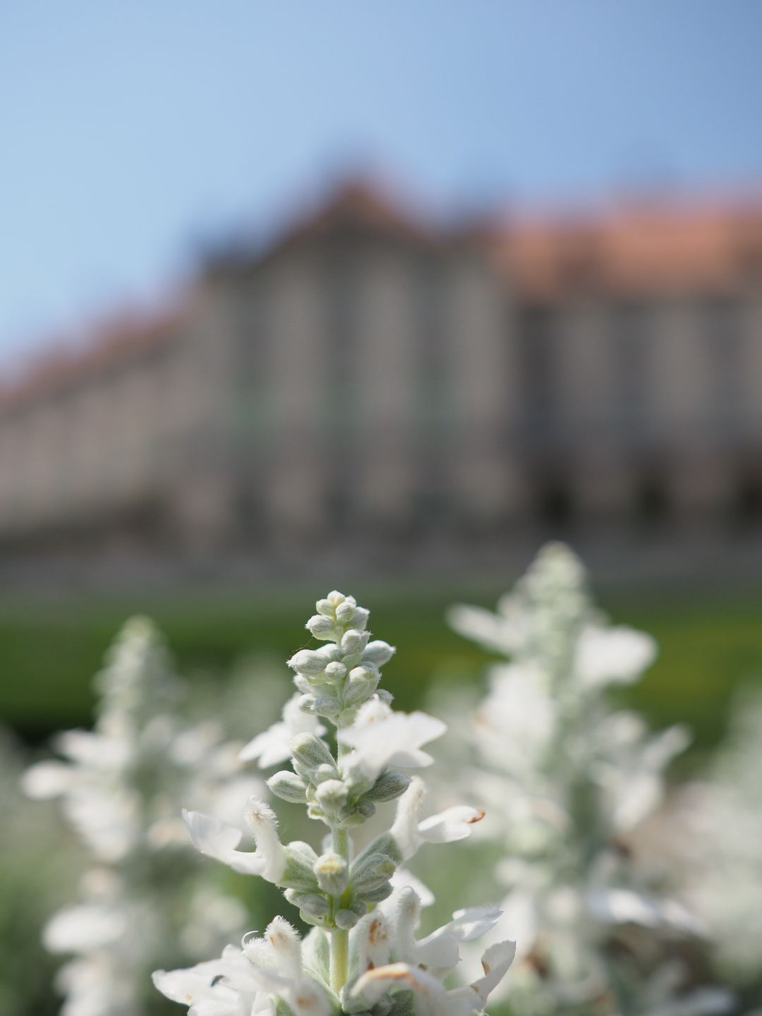 TEST: Jasność u Olympusa, czyli M.Zuiko 17 mm f/1.2 PRO 31
