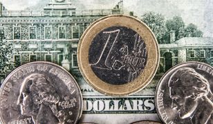 Kursy walut w wyszukiwarce, kantorze i na rachunku. Dlaczego się różnią?