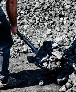 Problem z węglem to efekt spóźnionych działań premiera?