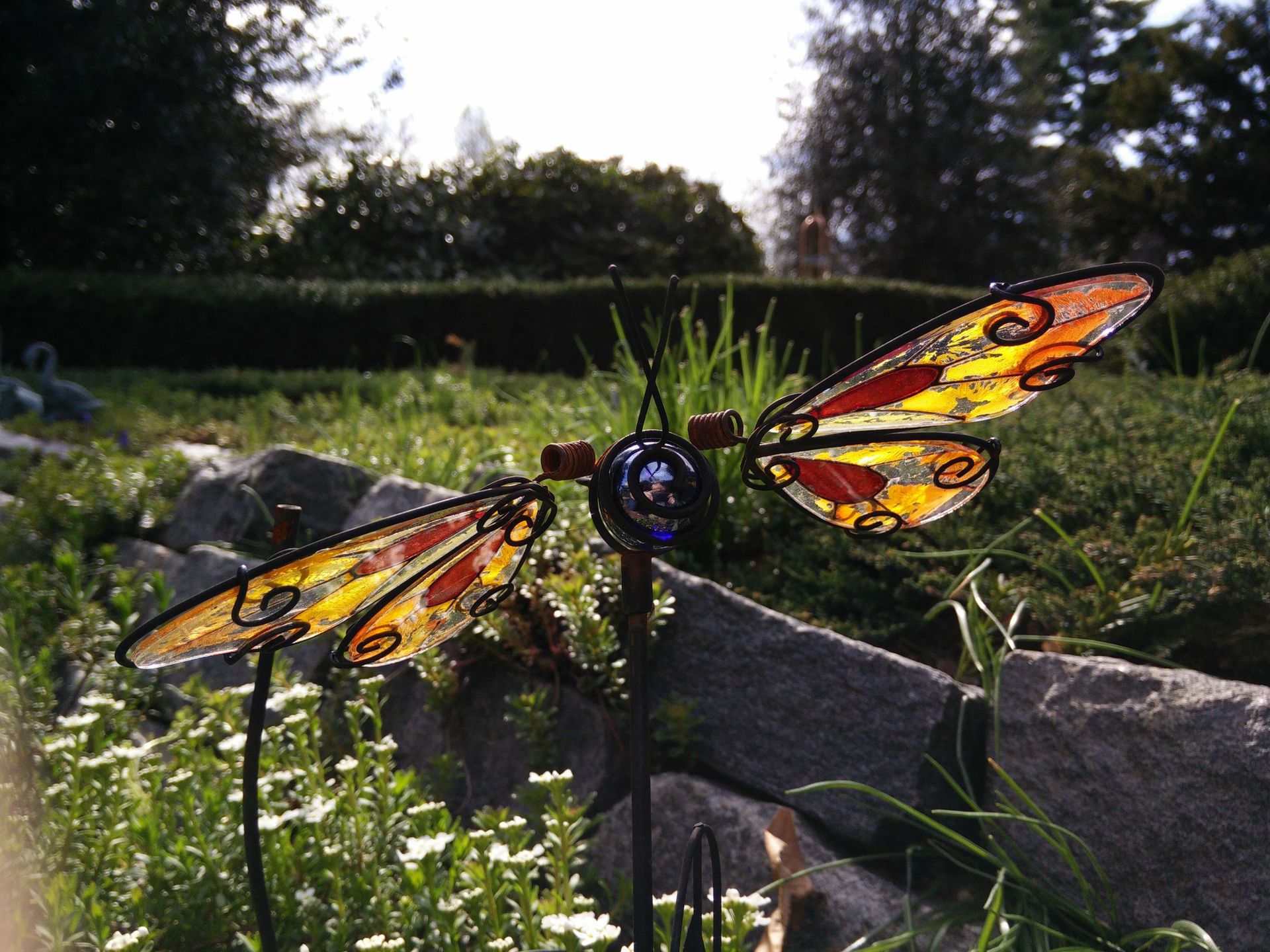 OnePlus One czy lustrzanka? Zobacz zdjęcia porównawcze 16