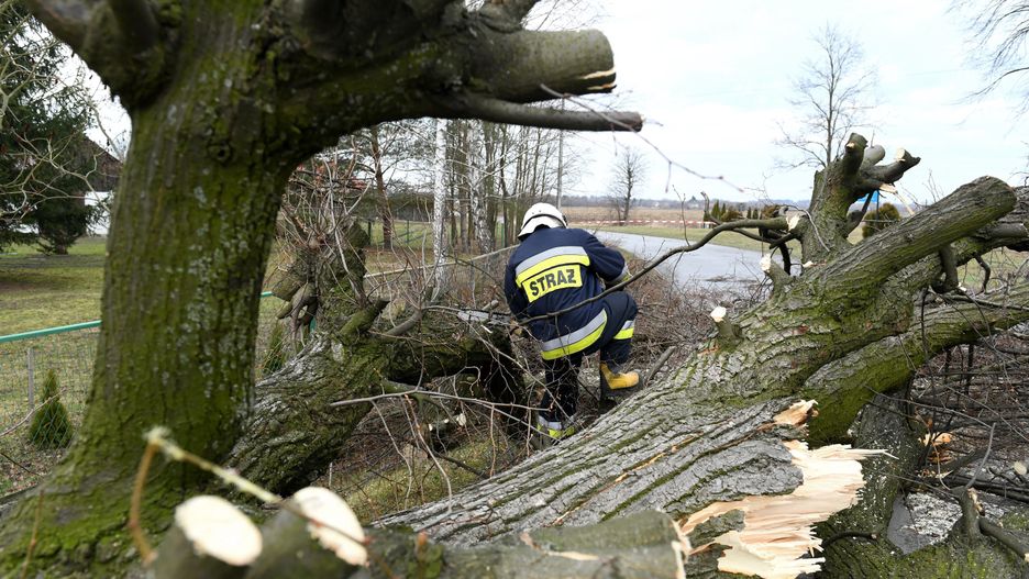 Wichura na Polską. Połamane drzewa, zablokowane trasy 