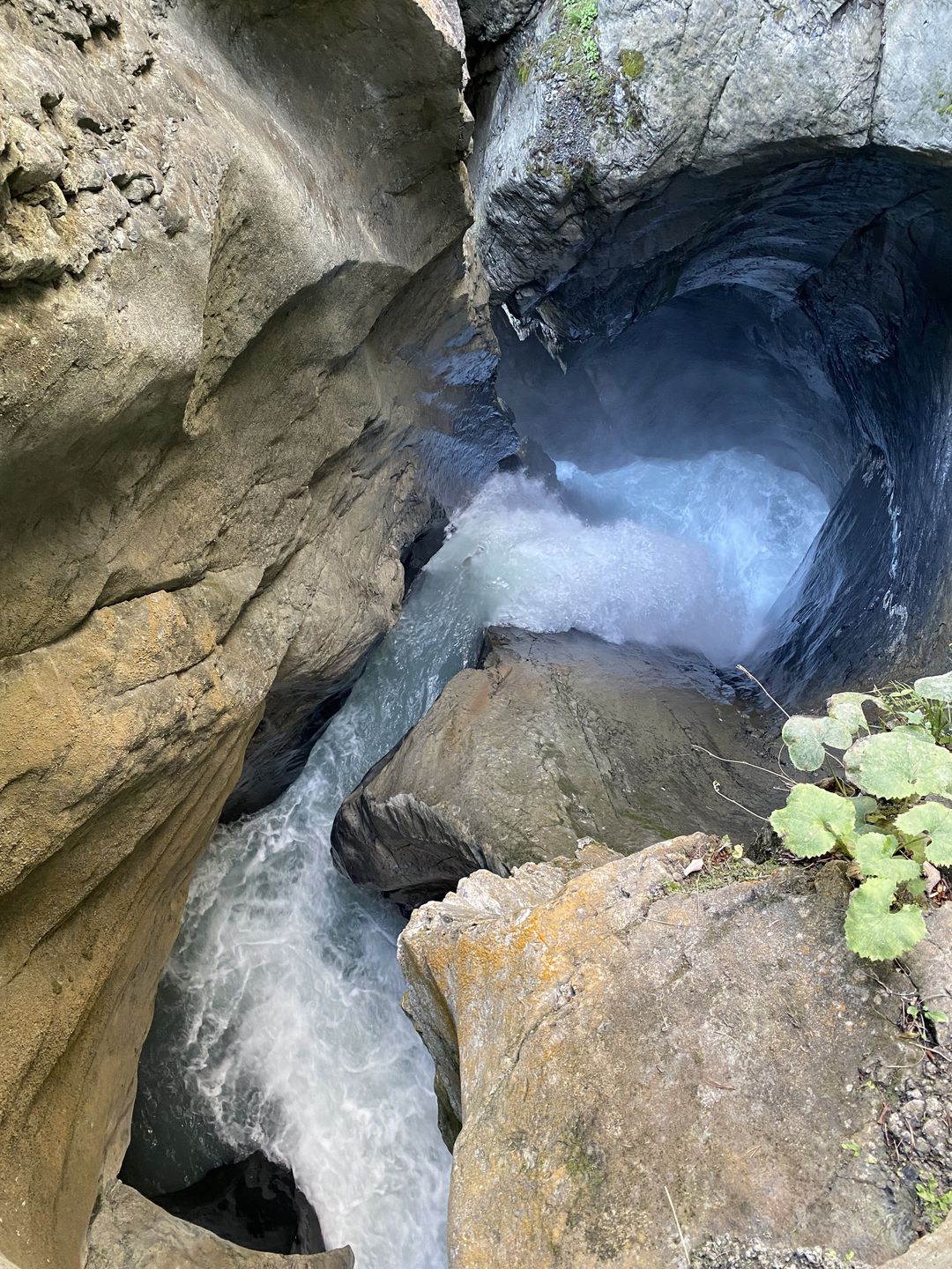 Podróż kamperem po Szwajcarii – dolina Lauterbrunnen