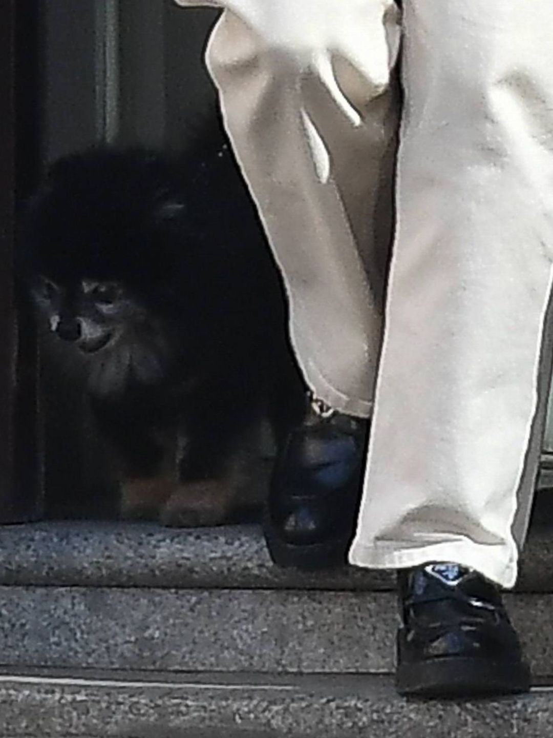Buty Kingi Rusin