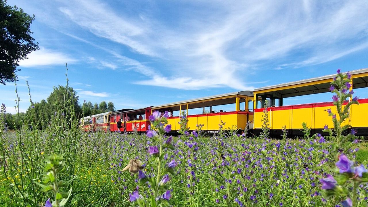 Jedna z top atrakcji Mierzei Wiślanej wraca w pełnym wymiarze