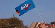 Niemcy wskazali. Rekordowe poparcie dla AfD w najnowszym sondażu