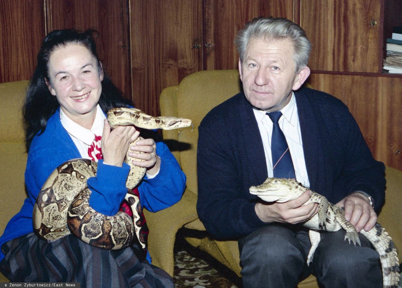 Nowa książka o Hannie i Antonim Gucwińskich. "Jak takich ludzi można w ogóle podejrzewać o znęcanie się?"