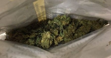 21-latek z narkotykami zatrzymany przez ostrowieckich kryminalnych