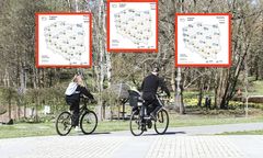 Eksplozja wiosny w lutym. Termometry wskażą nawet 18 st. C.