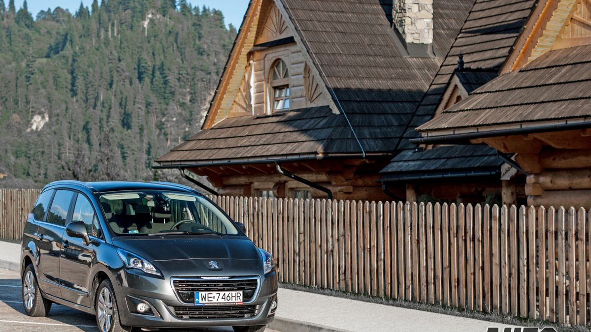 Zdjęcie ilustracyjne do artykułu