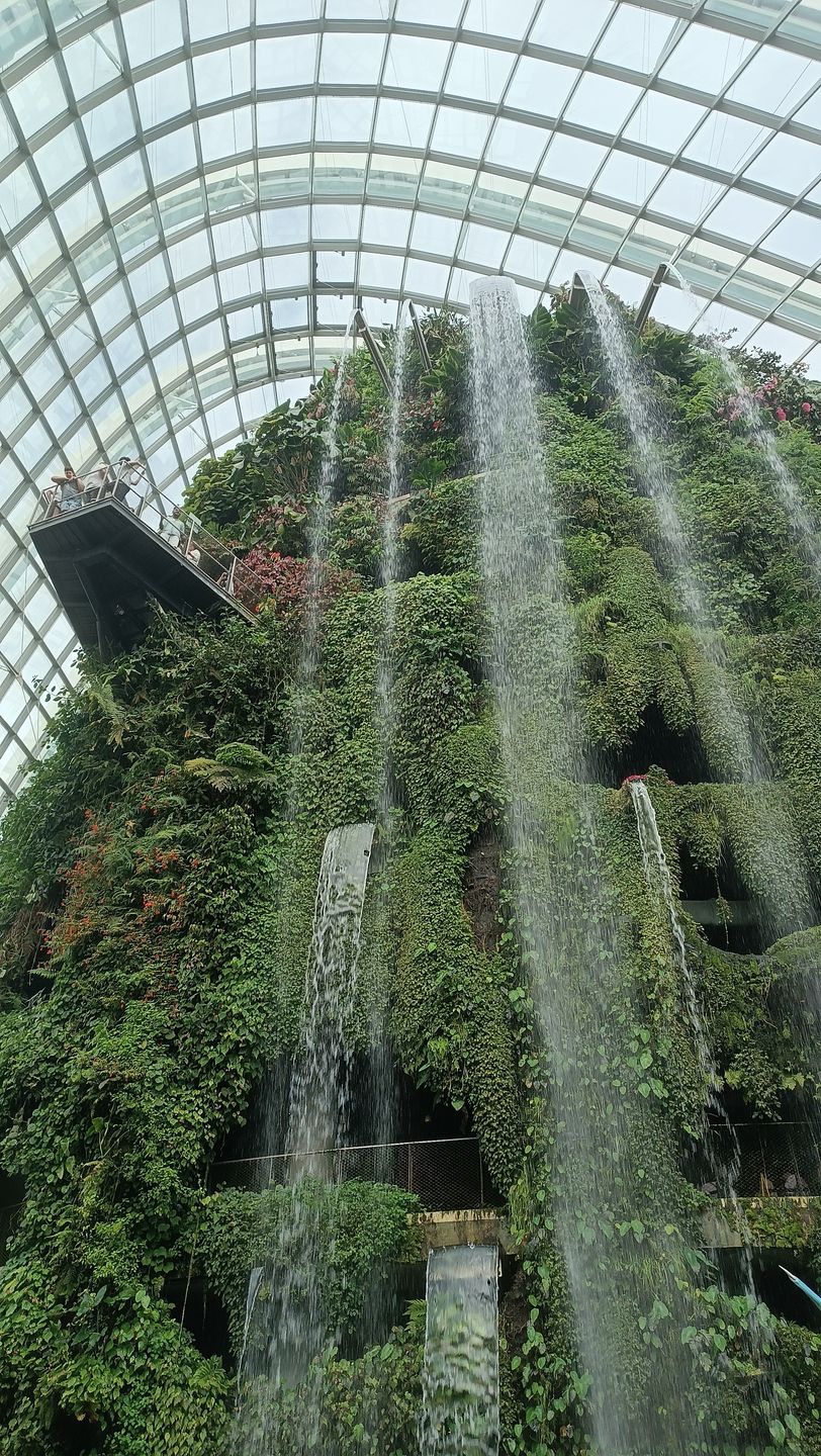 W Cloud Forest znajduje się drugi najwyższy zadaszony wodospad na świecie