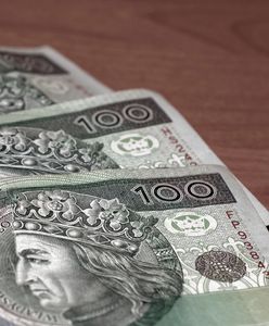 Uszkodzone banknoty. Czy można nimi płacić?