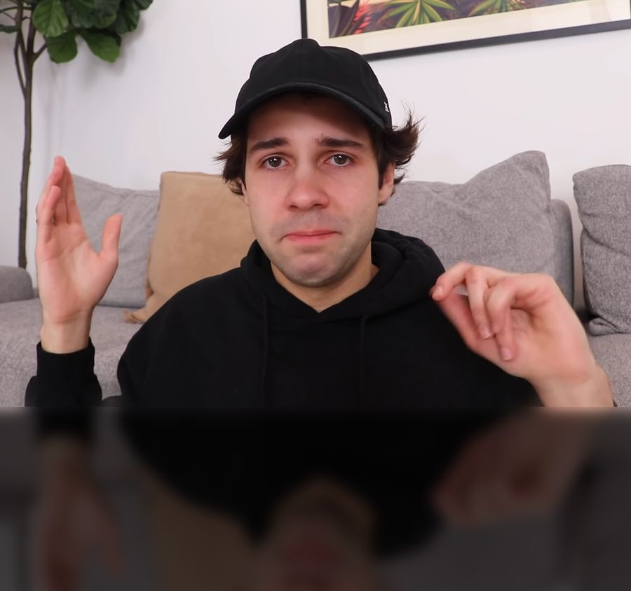 David Dobrik przeprasza skrzywdzone kobiety