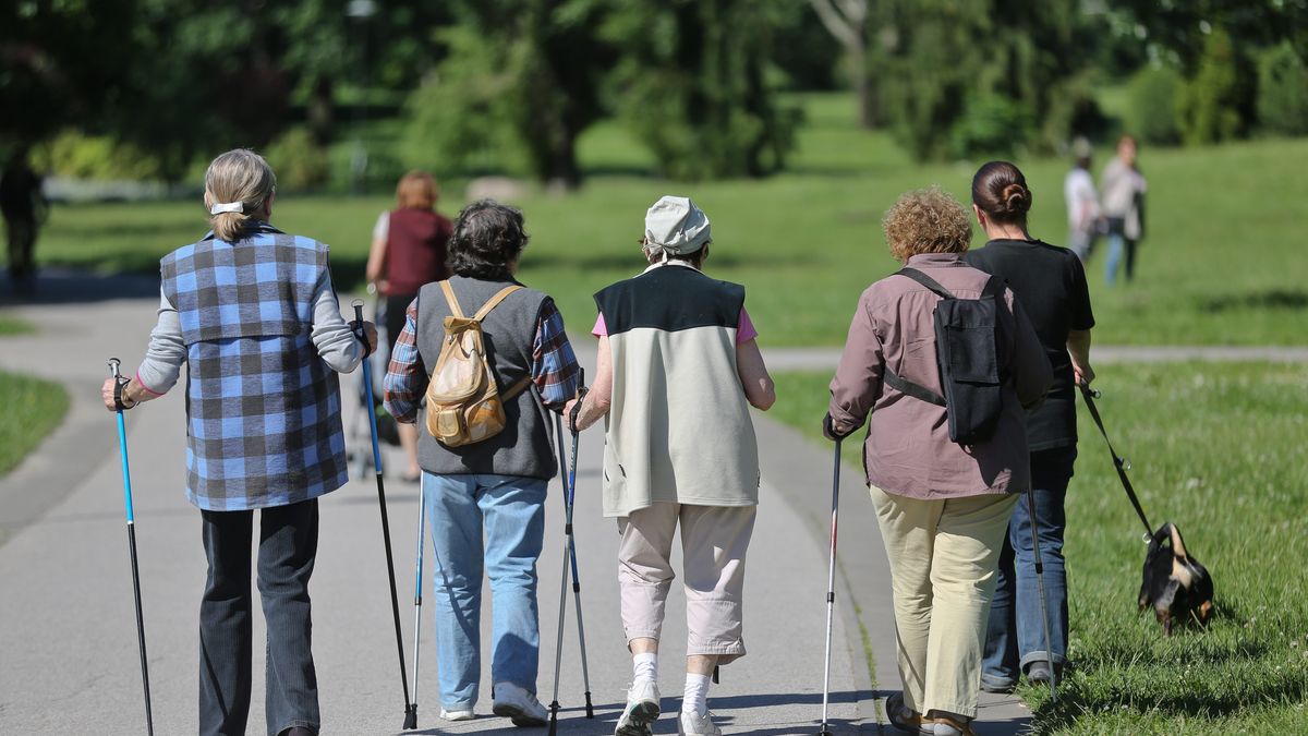 Nordic walking na Polu Mokotowskim
Warszawa, 12.06.2013. Nordic walking na Polu Mokotowskim. (rg/awol) PAP/Rafa� Guz
Rafa� Guz
aktywny, chodzenie z kijkami, emerytka, emerytki, nordic walking, Pole Mokotowskie, posta�, spacer, spacer z psem, starsza osoba, starsze osoby, sylwetka, ty�em, wypoczynek