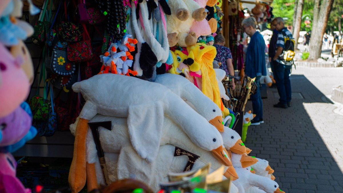 Kapibara hitem straganów