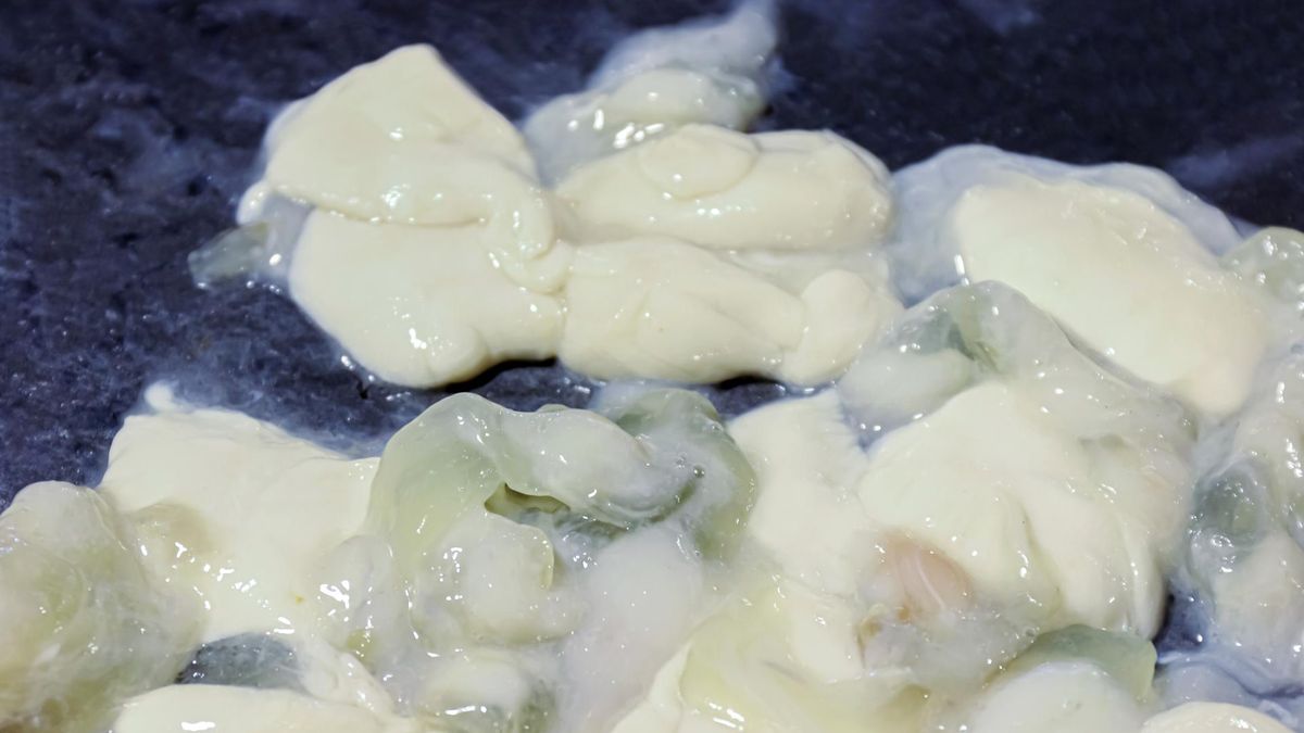 Kałamarnica zwiera duże ilości cholesterolu