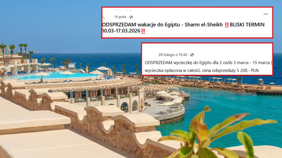 Wysyp postów w mediach społecznościowych