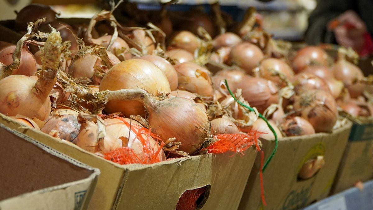 Skąd sprowadzamy cebulę? Wydaliśmy na nią miliony
