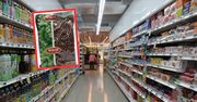 Mogą powodować raka. Auchan wycofuje popularne bakalie