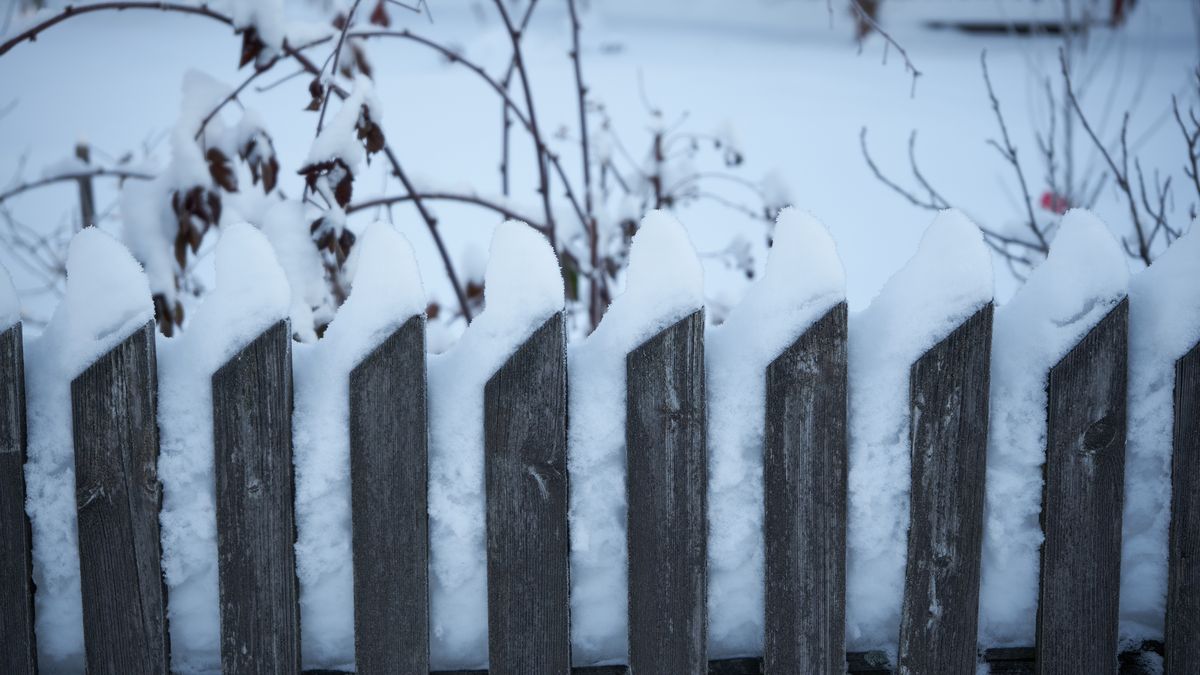 Zdjęcie ilustracyjne