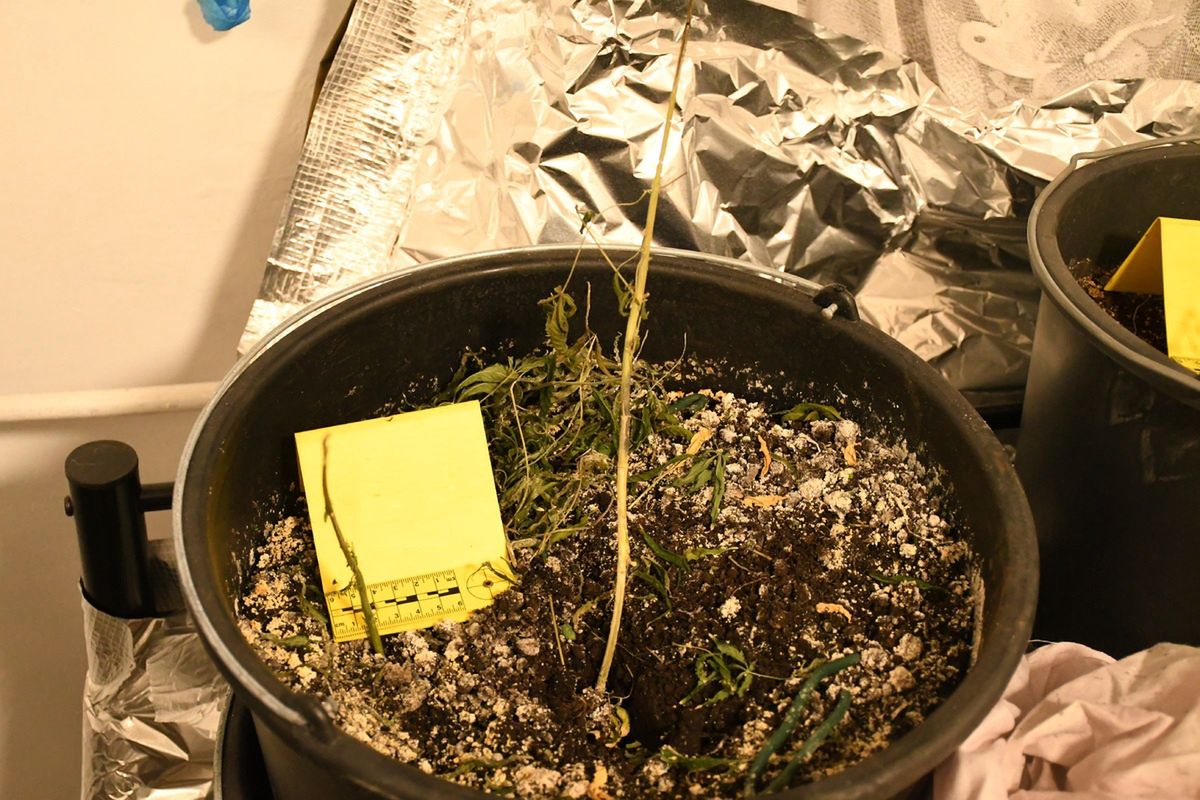 Fałszywy alarm na 112. "Niepokojące odgłosy"