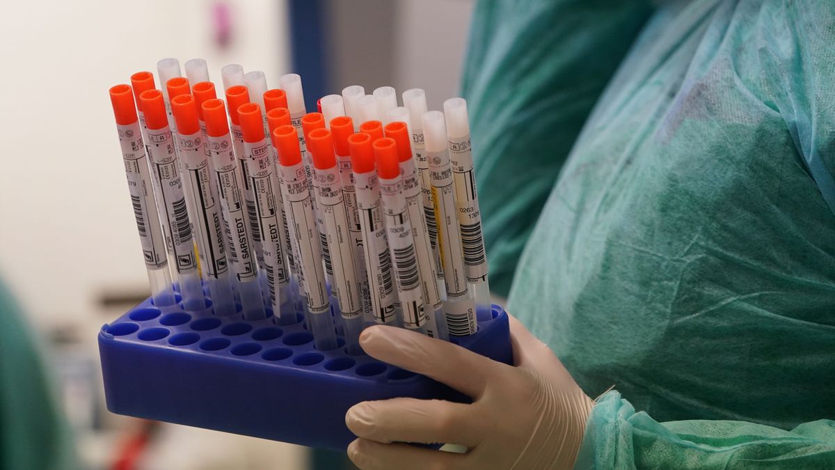  Koronawirus. Sanepid zgubił 22 tys. wyników i... system informatyczny