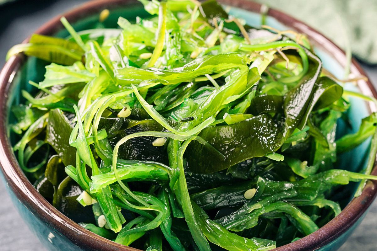 Glony wakame