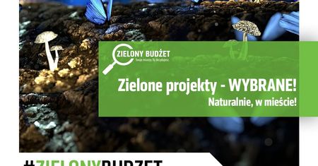Miasto zagospodaruje kolejne przestrzenie w ramach VII edycji Zielonego Budżetu