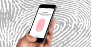 Poznaj swojego smartfona: czytnik linii papilarnych