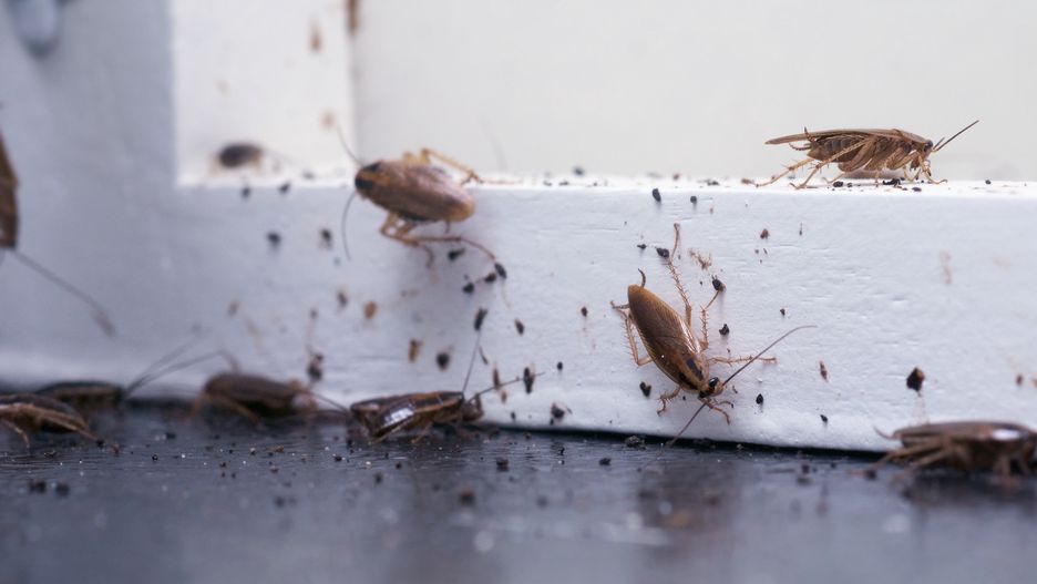 Hiszpanie mają coraz większy problem 