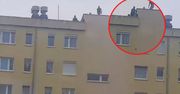 Szokująca zabawa w Gorzowie. Zrzucali ogromne kamienie z dachu wieżowca