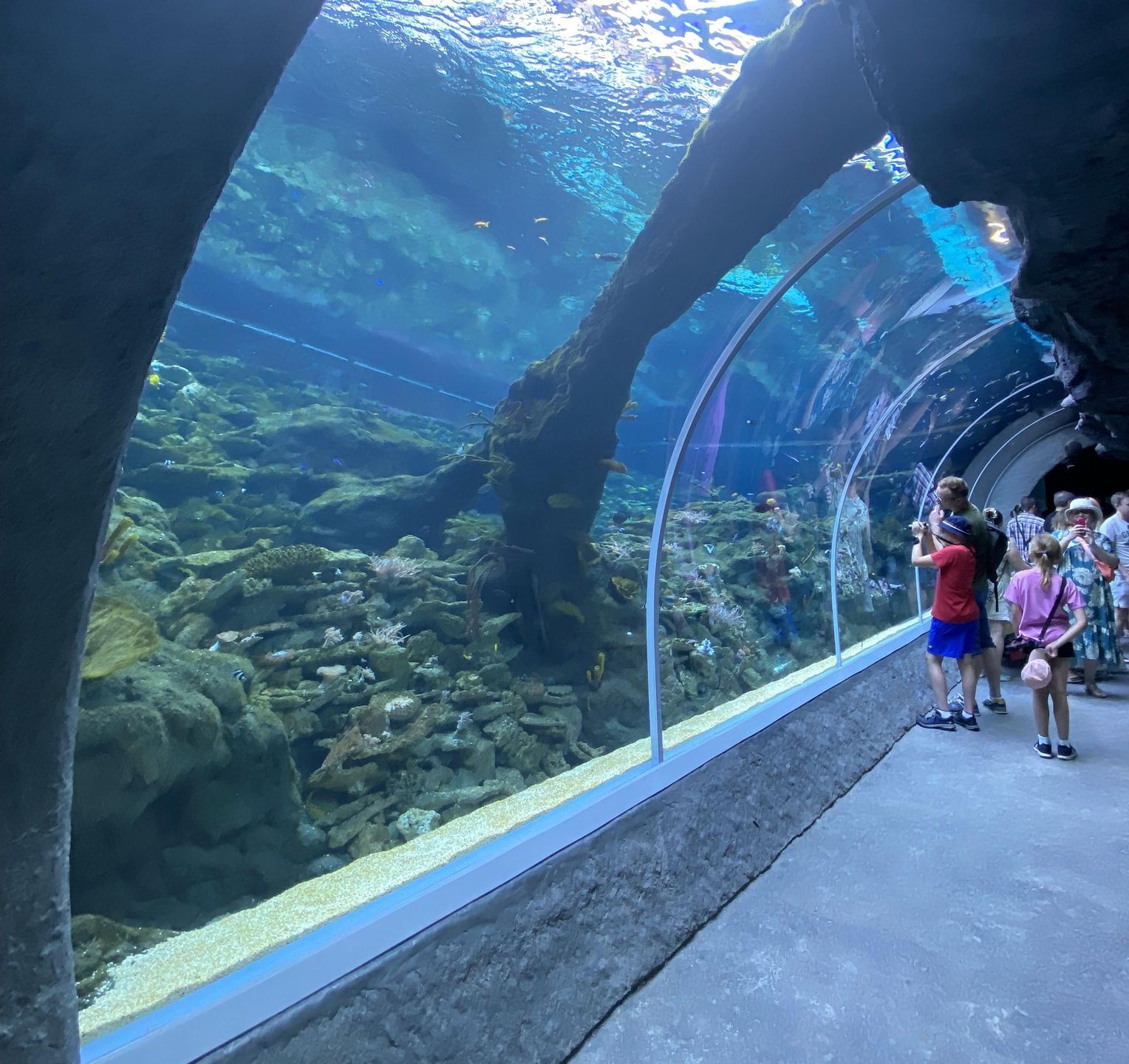 Centralnym punktem jest 26-metrowy tunel, do którego wchodząc mamy nad głową ok. trzy mln litrów wody