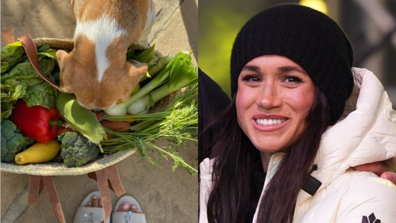 Internauci drwią ze "zbiorów" Meghan Markle