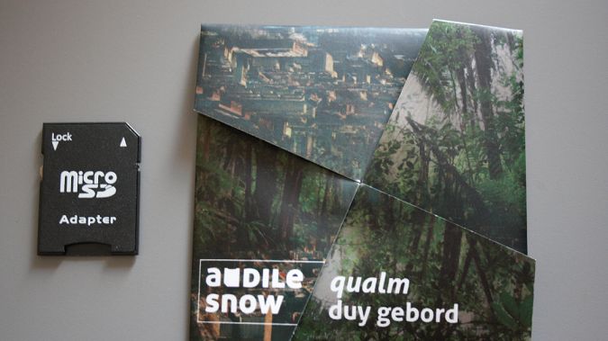 Kupiłem album na karcie MicroSD. Kolekcjonerski gadżet czy sprytny pomysł na sprzedaż muzyki? 1