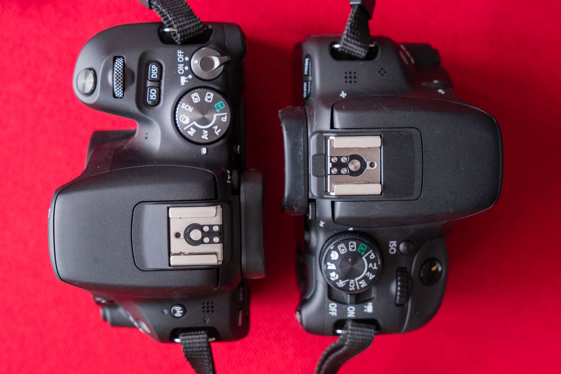 Canon EOS 200D - najlżejsza lustrzanka z odchylanym ekranem w naszych rękach 9