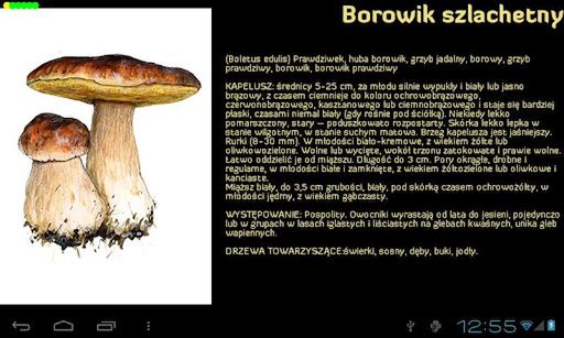 Weekendowy Zestaw Gier i Aplikacji [7.07.2012] 30