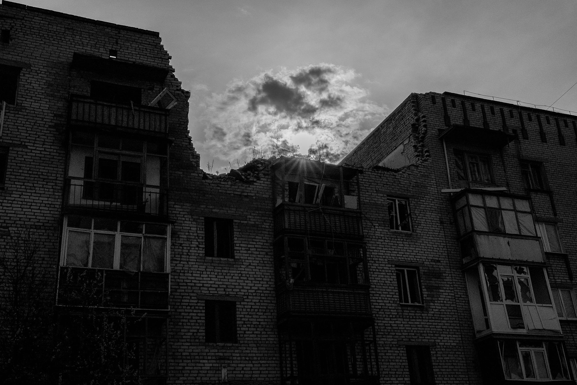 Łyman