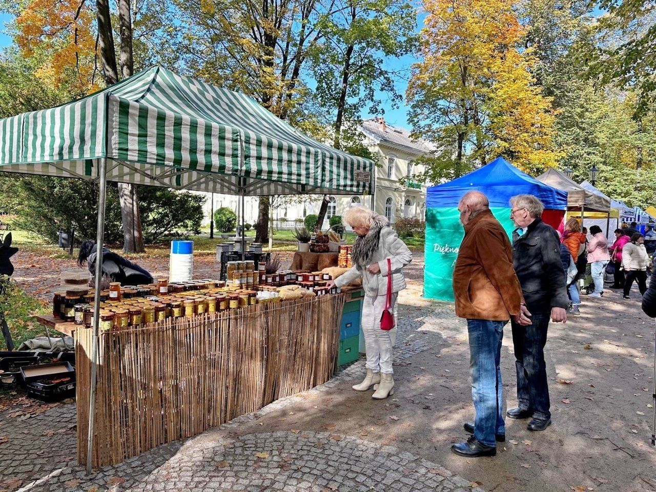Warsztaty pszczelarskie w Jeleniej Górze. Tak było w 2024 roku!