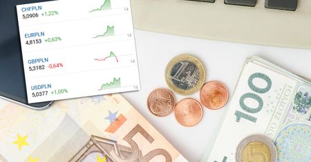 Na rynku walut "wszystko po 5 zł". Może być gorzej? "Trzeba być Holecką, by widzieć przyszłość w jasnych barwach"