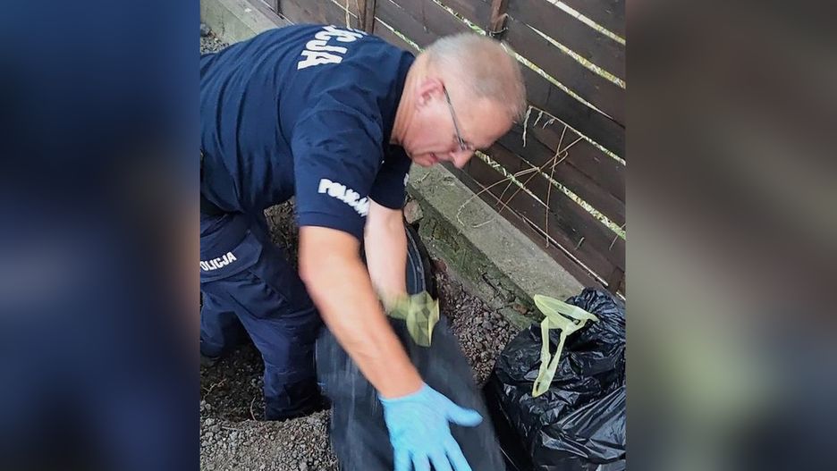 W sumie kryminalni zabezpieczyli 15 kg narkotyków i kilka milionów złotych