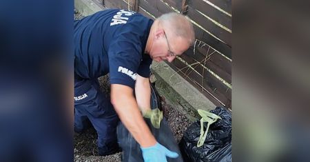 Policjanci trafili na "skarb". 3 mln zł z narkotyków zakopane w ziemi