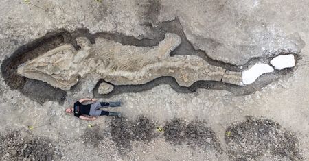Ta bestia żyła 180 mln lat temu. Takiego giganta jeszcze nie widzieli