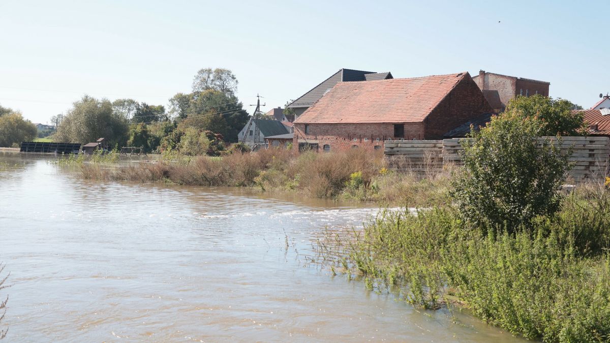 Fala powodziowa w dolinie Odry
Fot. Adam Burakowski/East News, 22.09.2024. Dolnoslaskie. Fala powodziowa z poludnia Polski przemieszcza sie w dol Odry. Sytuacja w miejscowsci Przedmoscie k. Glogowa.
Adam Burakowski