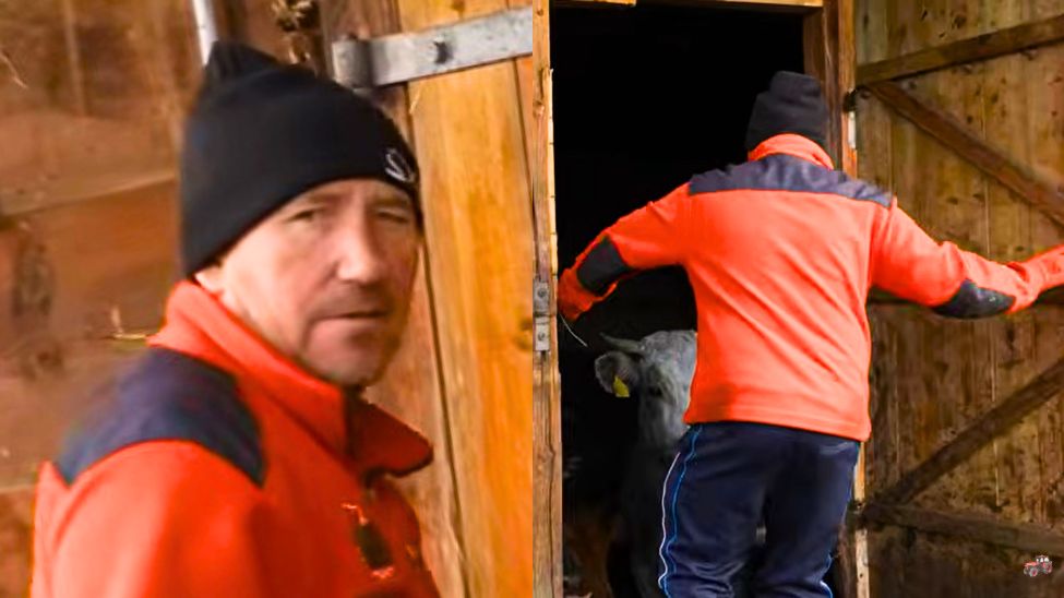 Andrzej z Plutycz z "Rolnicy. Podlasie" pokazał oborę z krowami